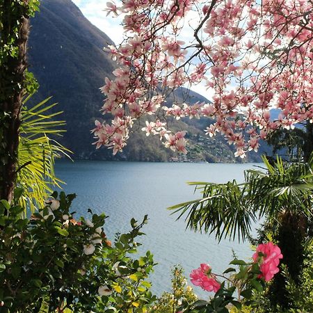 Apartmán Barony Olive 2 Personen Mit Hund Lugano Exteriér fotografie