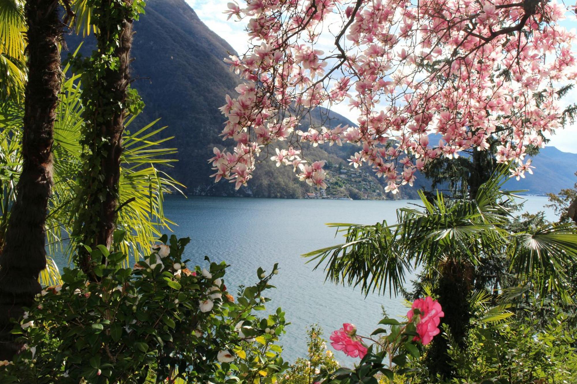 Apartmán Barony Olive 2 Personen Mit Hund Lugano Exteriér fotografie